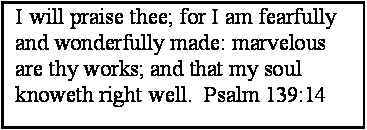 Text Box: I will praise thee; for I am fearfully and wonderfully made: marvelous are thy works; and that my soul knoweth right well.  Psalm 139:14
