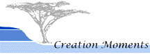 Creation Moments
