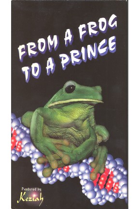 From A Frog To A Prince
